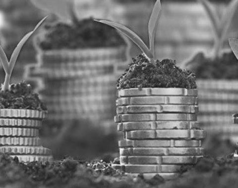 Food and Agribusiness
